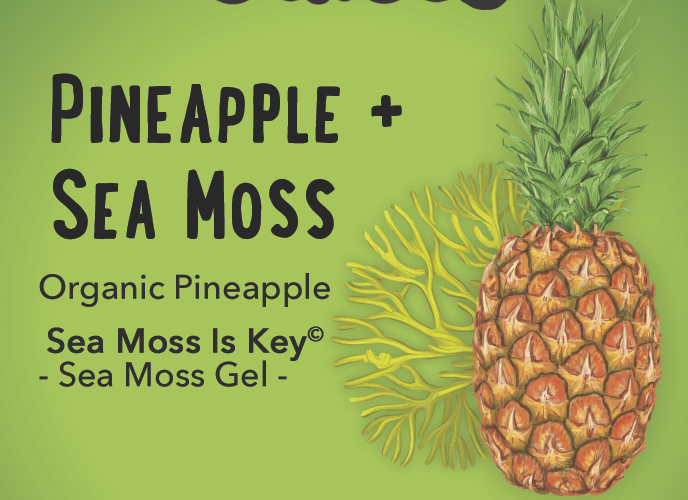 Sea Moss Infused Kit